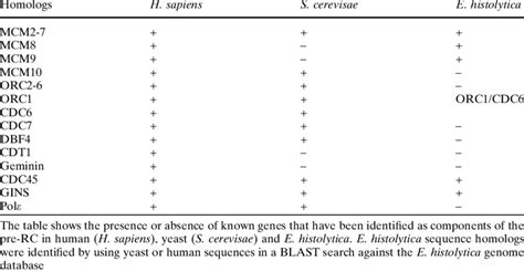 Image result for Pre-Replication Complex