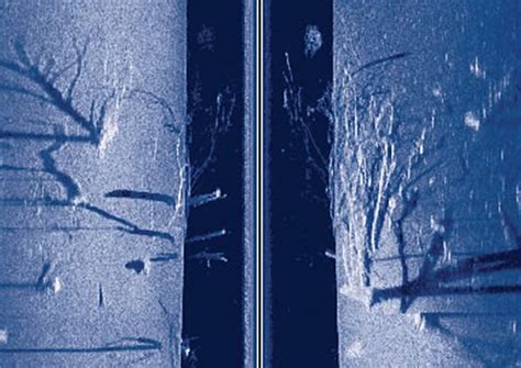 Image result for How to Read Side Scan Imaging