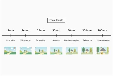 Was ist ein Teleobjektiv? Die wichtigsten Tipps zur Verwendung und Auswahl des richtigen ...