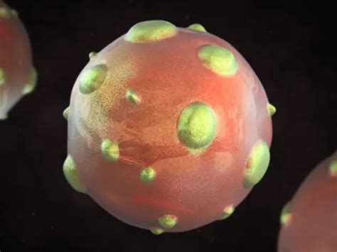 Hantavirus in China: 5 things you need to know about the virus ...