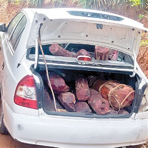 Flush with Sanders Cash, Youth Live the High Life