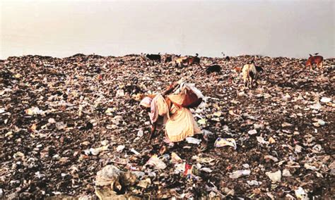 State identifies 123 legacy dumpsites from about 128 urban local bodies