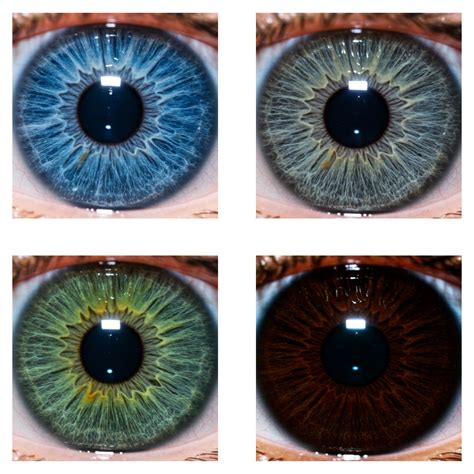 Business Outfit 的图像结果