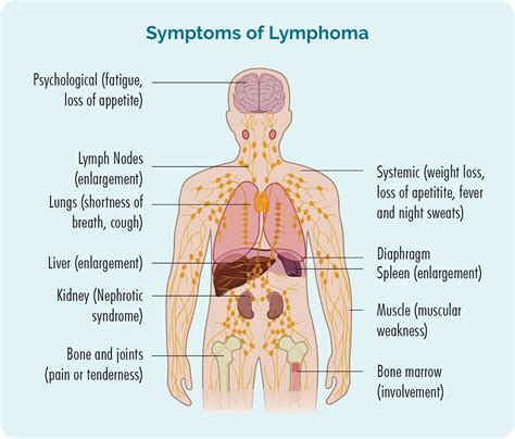 Cutaneous (skin) Lymphomas - Lymphoma Australia