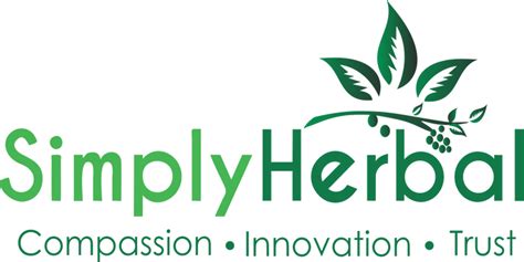 Natural Benefits of Saw Palmetto Extract: Prostate Health & Hair Growt ...