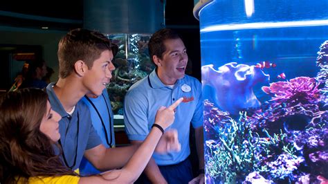 Guide to Disney Youth Education Series Environmental Studies Programs ...