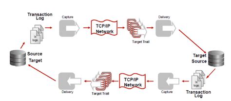 Image result for Bidirectional Replication Simulation