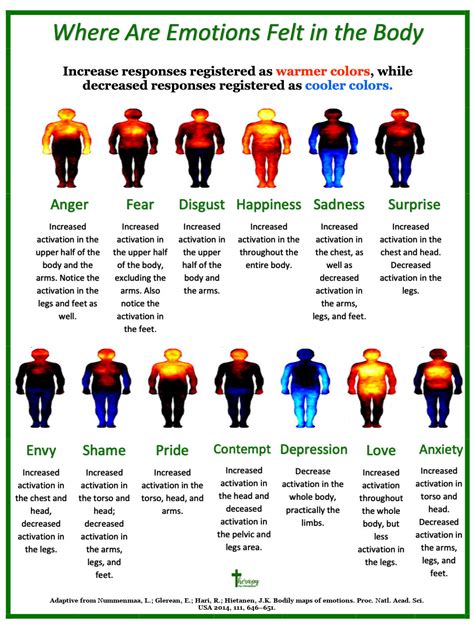 Understanding Where You Feel Emotions In Your Body
