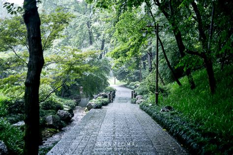 2021杭州植物园-旅游攻略-门票-地址-问答-游记点评，杭州旅游旅游景点推荐-去哪儿攻略