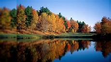 Fall Backgrounds Computer by Fall Backgrounds For Computer Wallpaper Cave Fall Backgrounds Computer