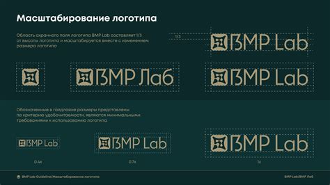 Image result for Sample BMP Lab