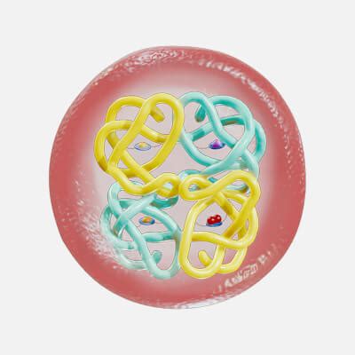 Image result for Haemoglobin Structure Model