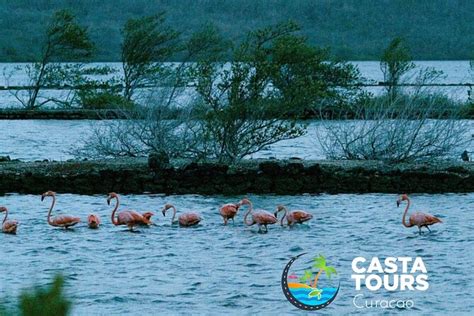 2026 Tour to the best beaches; snorkel with fish and turtles ...