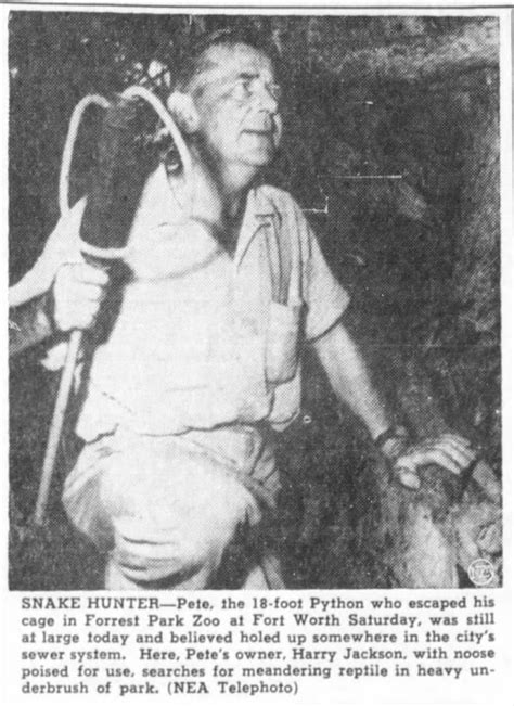 Image result for Python Pete Beagle