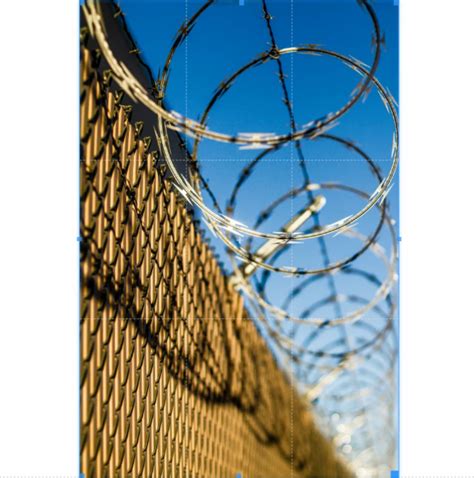 Concertina Wire - Concertina Wires . Manufacturer from New Delhi