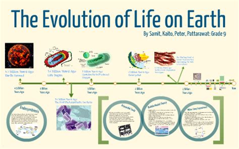 Evolution of Life 的图像结果