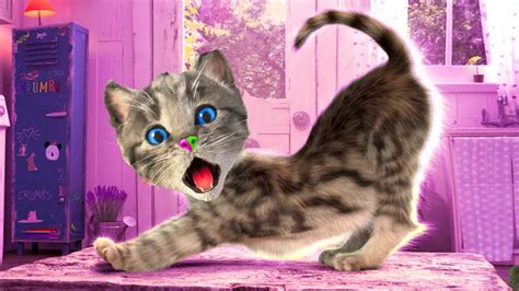 Cat Cartoons 的图像结果