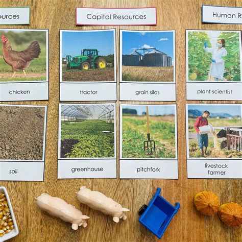 Example Capital Resources 的图像结果