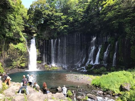 Fujicooltour (Mishima) - All You Need to Know BEFORE You Go