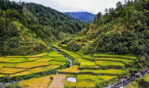 Province 的图像结果