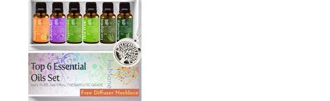 hisMane Top 6 Aroma Essential Oils & Diffuser Necklace Set, Peppermint ...