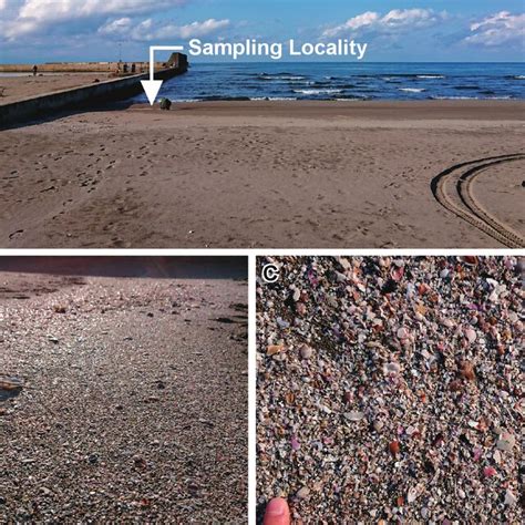 Image result for Locale Sampling