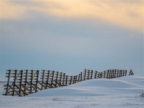 Rural Alaska Community Action Program, Inc. (RurAL CAP) | LinkedIn