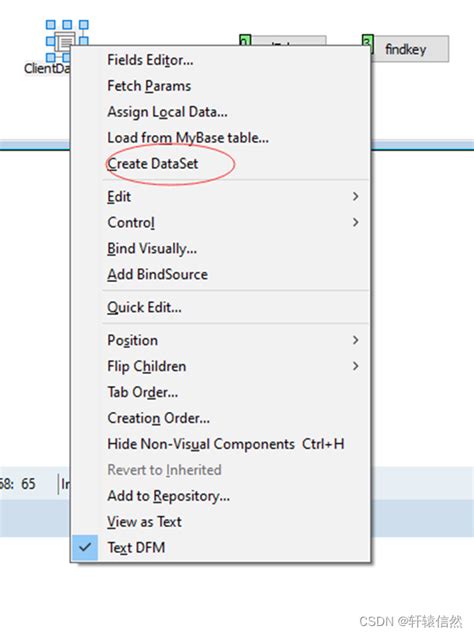 Delphi SQLite Server 的图像结果