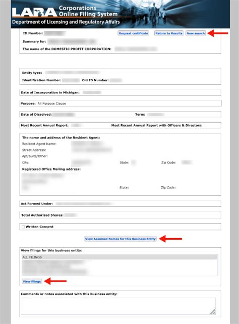Michigan Secretary of State (LARA) | Business Entity Search - Secretary ...