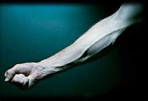 ¿Por qué se notan las venas en los brazos y debería preocuparme? - EL ...