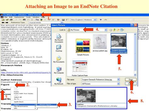 EndNote Tutorial X7 的图像结果