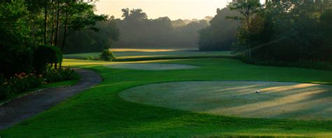 Golf 的图像结果