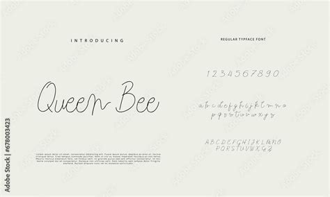 Image result for Custom Script Font