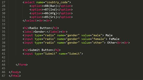 Image result for HTML Form Basic Structure