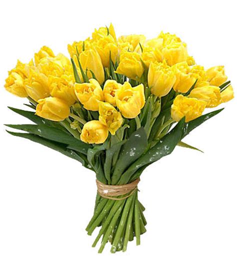 Ramo de flores PNG