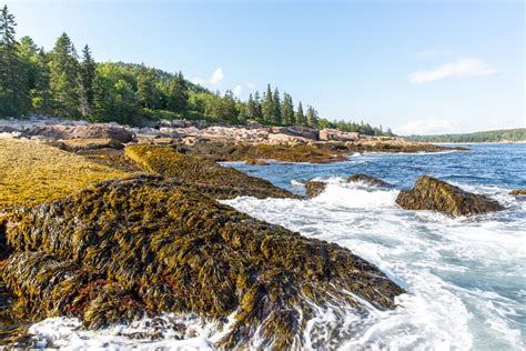 Image result for 490 3rd Loop Road