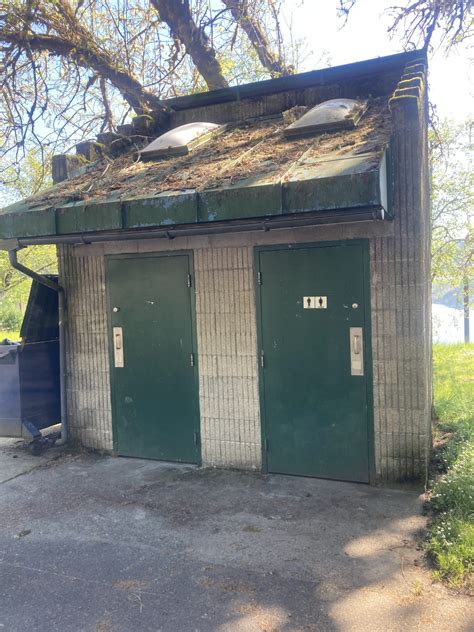 Triangle Lake – Oregon Paddling