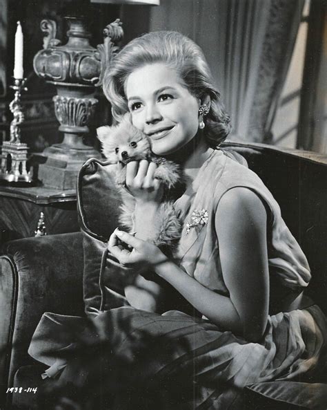 SimplySassy | Sandra dee, Sandra, Gidget movie