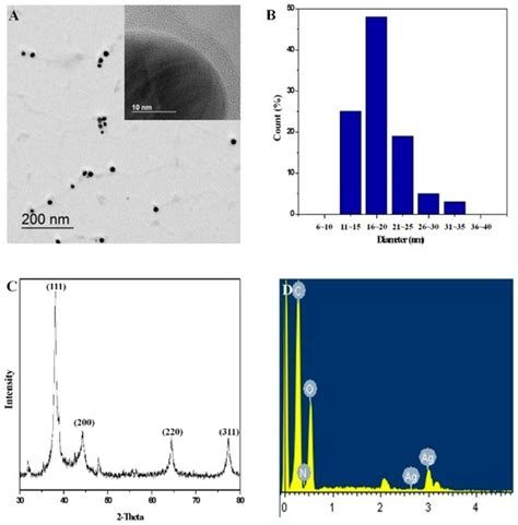 Green Synthesis of Silver Nanoparticles Stabilized with Mussel-Inspired ...