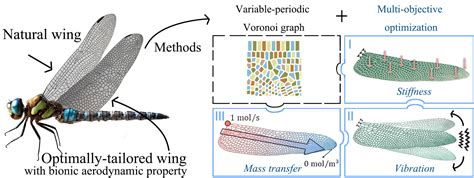 Image result for Python Script for Abaqus