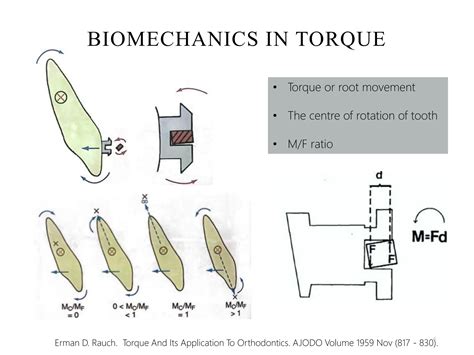 TORQUE IN ORTHODONTICS (short PPT) basic | PPTX