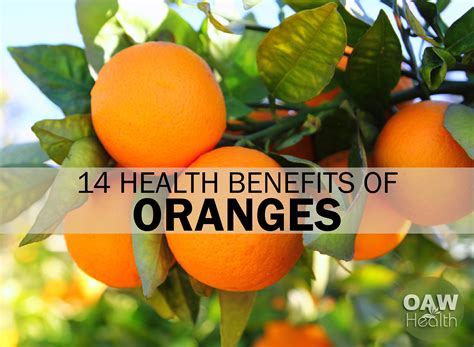 Health Benefits In Oranges at Kathleen Flores blog