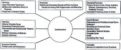 Basal Ganglia - Medical Science Optional Notes for UPSC PDF Download