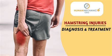 Hamstring Injury Recovery Time 的图像结果