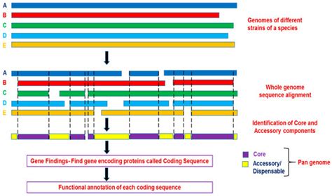 Pangenomics in Microbial and Crop Research: Progress, Applications, and ...