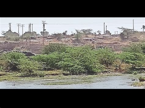 Mafias active again in Atkot, system silent despite rampant theft ...