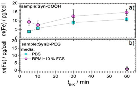 Cell Tracking by Magnetic Particle Imaging: Methodology for Labeling ...