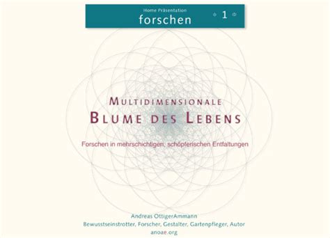 Raumgeometrie: Multidimensionale Blume des Lebens • AnOA edition