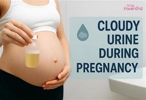 Cloudy Pee During Pregnancy - Causes & What Does It Mean