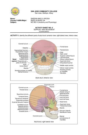 TTL2 Project-Based Learning 的图像结果